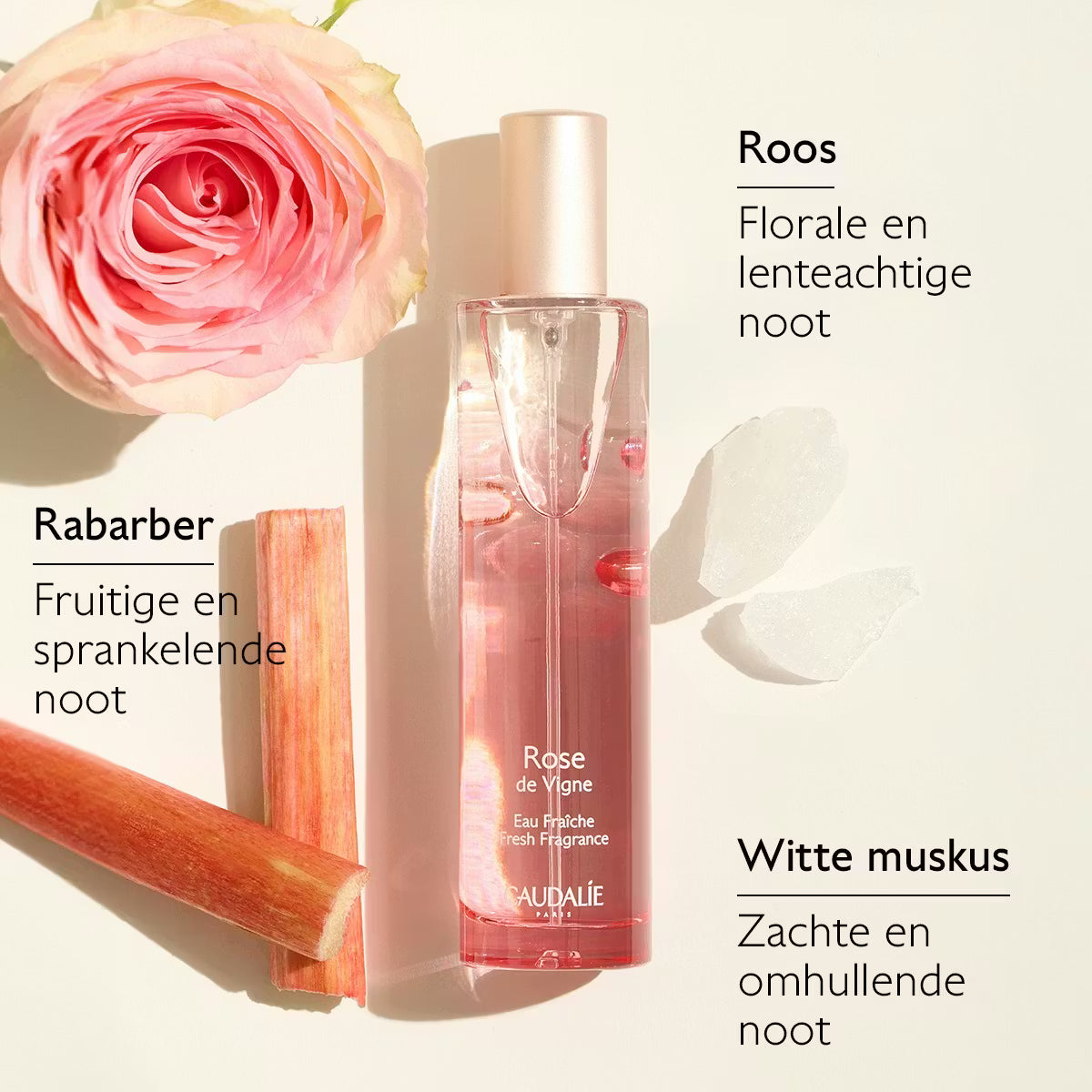 Rose de Vigne Eau Fraîche