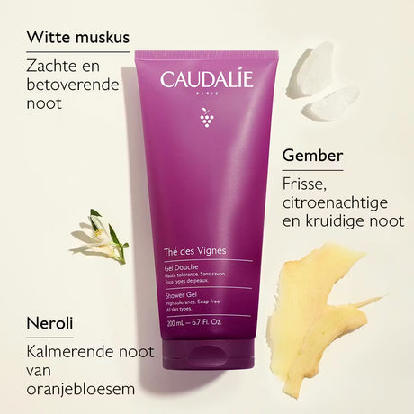Thé des Vignes Shower Gel