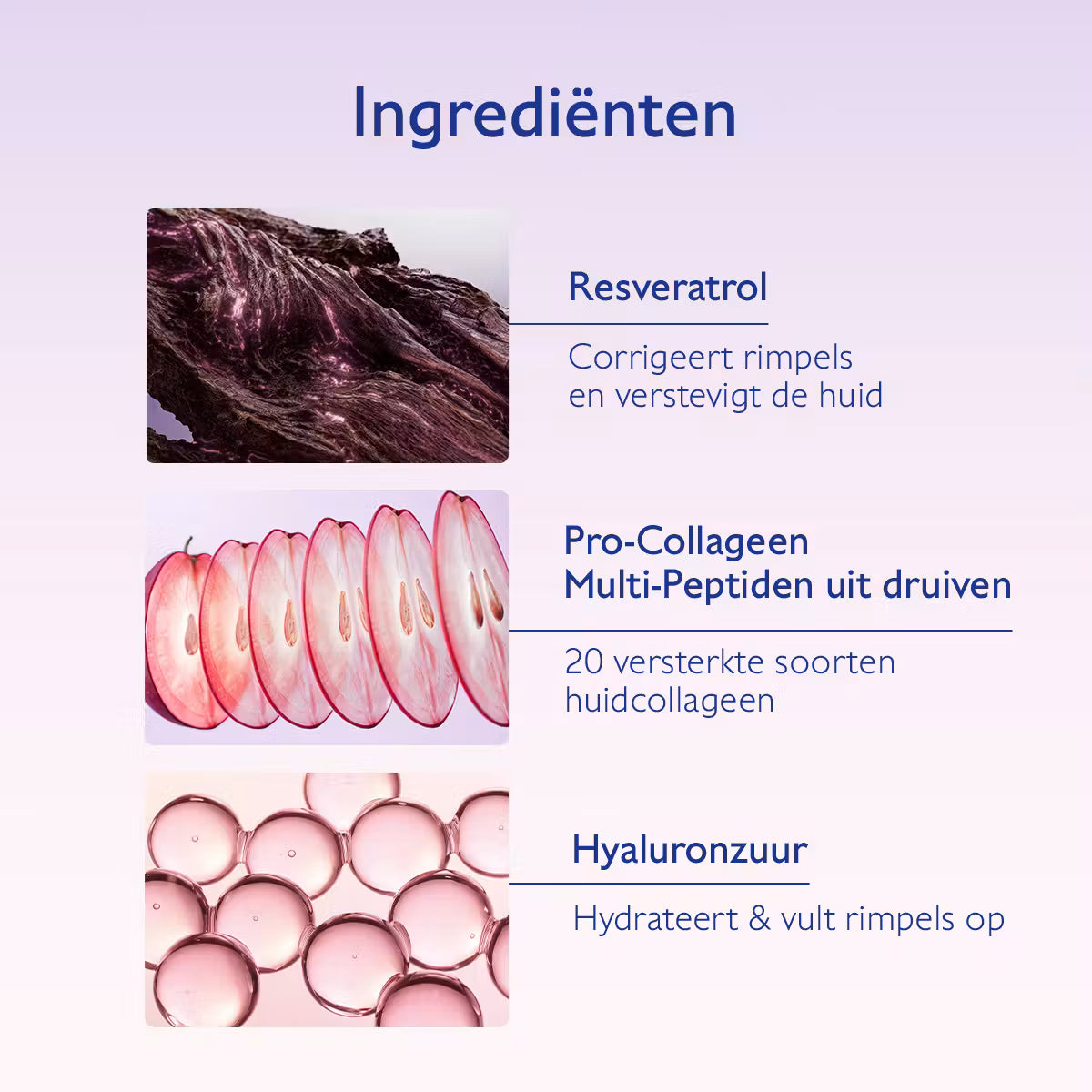 Resveratrol-Lift Crème Nachtthee