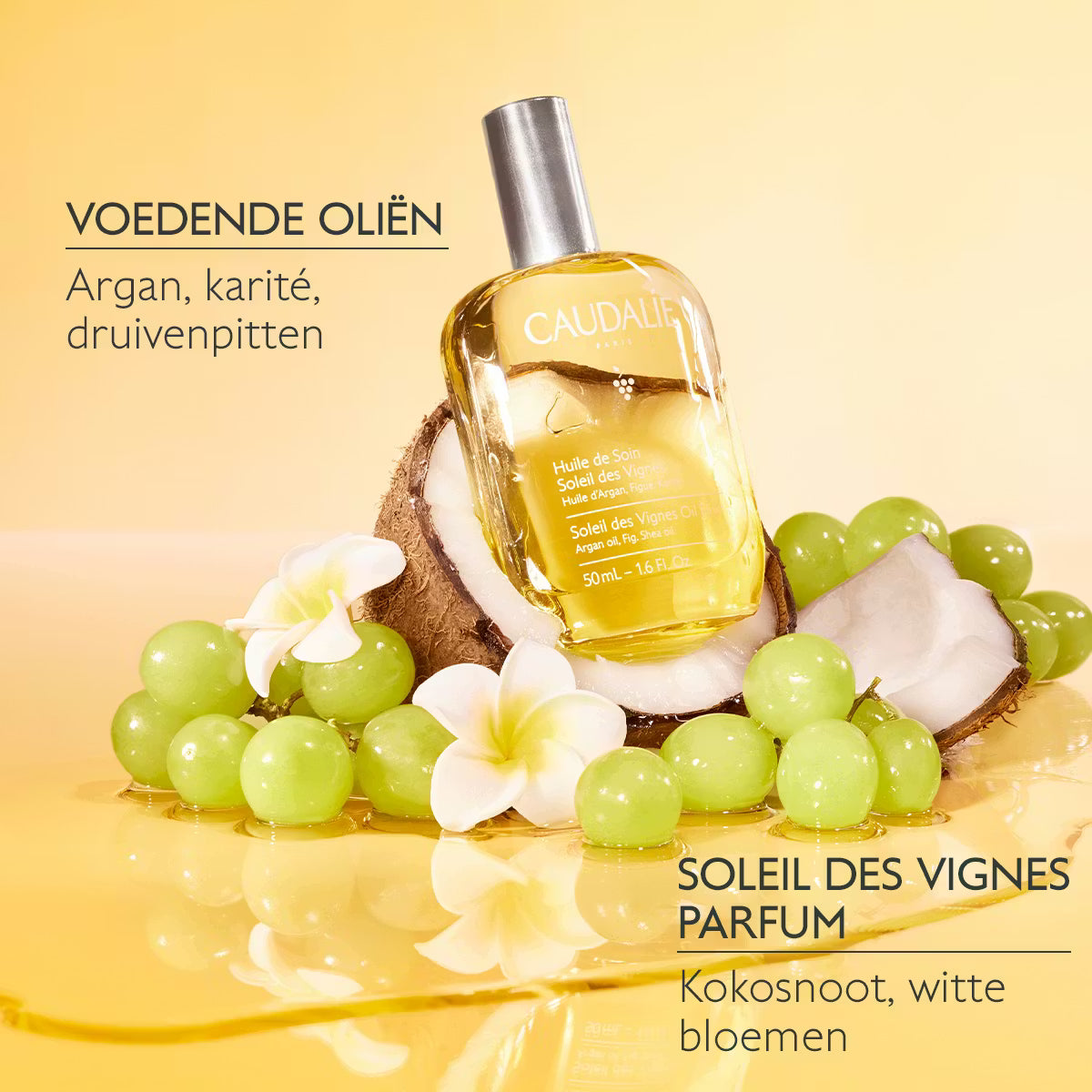 Soleil des Vignes Oil Elixir