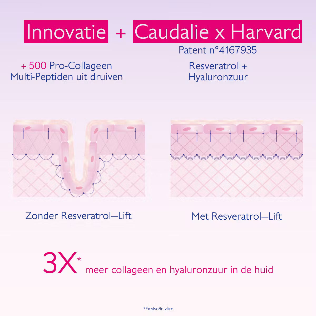 Resveratrol-Lift Crème Nachtthee