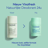 Vinofresh Deodorant Stick